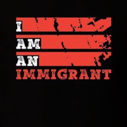 I Am An Immigrant Trump Muslim Ban Immigration Laws Political T Shirt