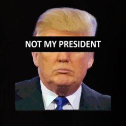 Not My President Karrueche Tran Replica Trump Politcal Equality T Shir