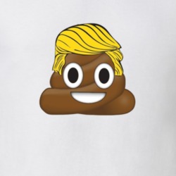 Dump Trump Funny Poop Emoji Donald Hair Political Election T Shirt