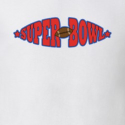 Super Bowl LI 2017 Football Party Patriots Falcons Fan T Shirt