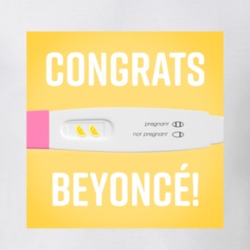 Beyonc&eacute; Beyonce Twins Pregnant Jay Z Queen Bee Hive Lemon Music