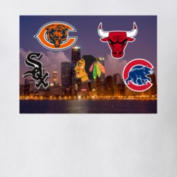 City of Champions Chicago Fan Sports T Shirt