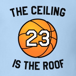 The Ceiling is the Roof North Carolina National Champions 2017 Basketb