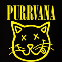 Cat Lover Nirvana Band Kitty Pet Mom Gift Idea Music T Shirt