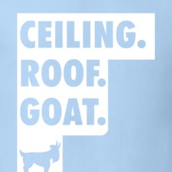 Ceiling Roof Goat National Champions 2017 North Carolina Basketball Re