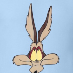 Wile E Coyote Road Runner Retro Cartoon Character Worn Look Gift T Shi