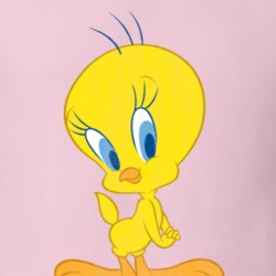 Tweety Bird Looney Retro Cartoon Character Worn Look Gift T Shirt