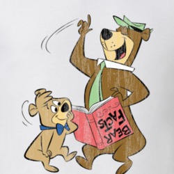 Yogi Bear and Boo Boo Retro Cartoon Character Worn Look Gift T Shirt