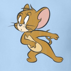 Tom and Jerry Retro Cartoon Character Worn Look Gift T Shirt