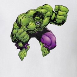 The Hulk Superhero Comic Fan Gift Worn Cool T Shirt