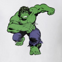 The Hulk Superhero Comic Fan Gift Worn Cool T Shirt
