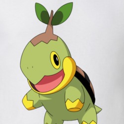 Turtwig Pokemon Fan Video Game Gift T Shirt