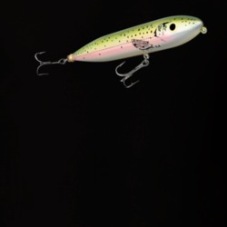 Zara Spook Lure Fishing Father's Day Gift T Shirt