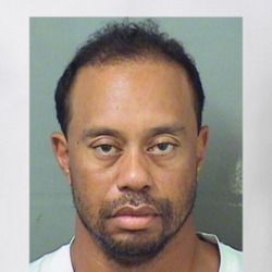 Tiger Woods DUI Fan Mugshot T Shirt