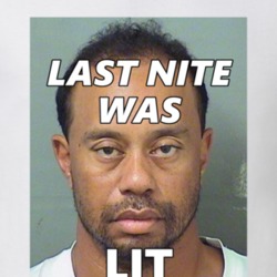 Tiger Woods DUI Fan Mugshot T Shirt