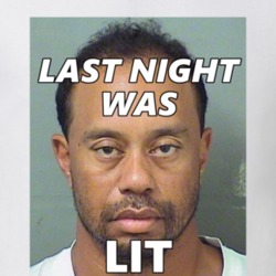 Tiger Woods DUI Fan Mugshot T Shirt