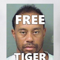 Tiger Woods Free DUI Fan Mugshot T Shirt