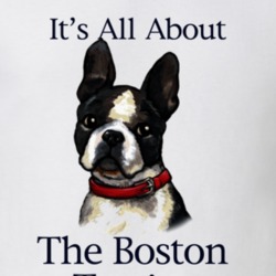 Boston Terrier Love Dog Puppy Owner Gift T Shirt