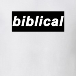 Oasis Biblical Band Music Britpop Vintage Replica T Shirt