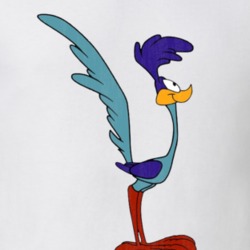 Road Runner Looney Tunes Retro Cartoon Character Worn Look Gift T Shir