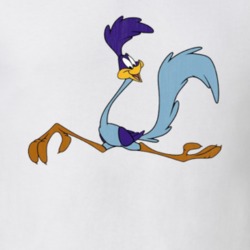 Road Runner Looney Tunes Retro Cartoon Character Worn Look Gift T Shir