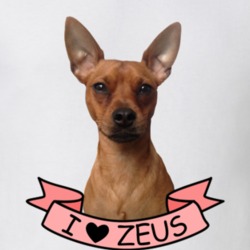 I Love Zeus Dog T Shirt