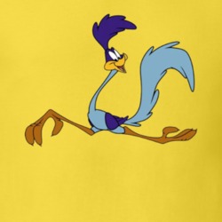 Road Runner Looney Tunes Retro Cartoon Character Worn Look Gift T Shir