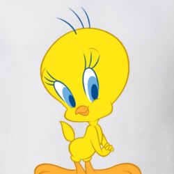 Tweety Bird Looney Retro Cartoon Character Look Gift T Shirt
