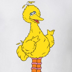Big Bird Sesame Street Tv Gift T Shirt