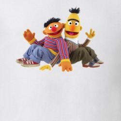 Bert And Ernie Sesame Street Tv Gift T Shirt