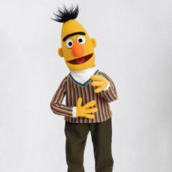 Bert Sesame Street Tv Gift T Shirt