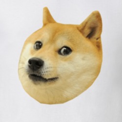 Doge Meme Internet Funny Gift T Shirt