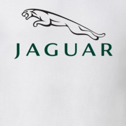 Jaguar Logo Cool Classic Car Gift T Shirt