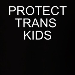 Protect Trans Kids Don Cheadle Snl Replica T Shirt