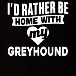 I'd Rather Be Home With My Greyhound Dog Lover Gift Funny Pet T Shirt