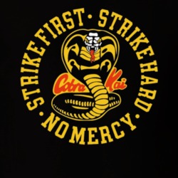 Cobra Kai Karate Kid Vintage 80s Movie T Shirt