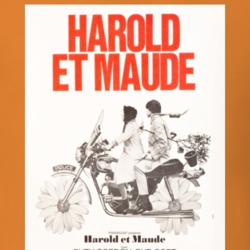 Harold And Maude 70s Movie Film Gift T Shirt