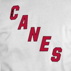 David Ayres Canes Fan 90 Hurricanes Hockey T Shirt