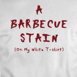 I Had A Bbq Stain On My White Tim Mcgraw T Shirt