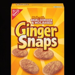 Nabisco Ginger Snaps Cookies Food Snack Gift T Shirt