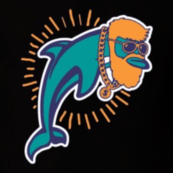 Fitz The Magic Dolphins Miami Ryan Fitzpatrick Football T Shirt