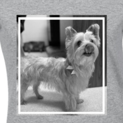 Goldie And I Cannot Lie Ladies T Shirt