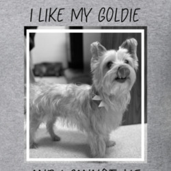 I Like My Goldie T Shirt