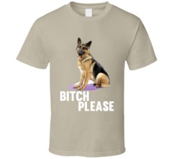 Rumor The German Shepherd 2017 Best in Show Westminster Winner Cool Fu