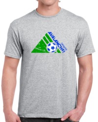 Retro Denver Avalanche Major Indoor Soccer League MISL Distressed T Sh