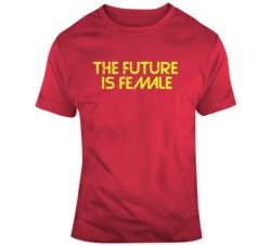 The Future Is Female Captain Marvel Brie Larson Movie Fan  Distressed 
