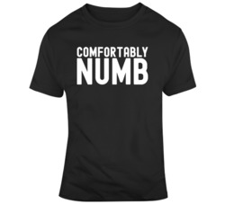 Comfortably Numb Music Fan Floyd  T Shirt