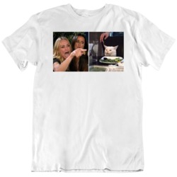 Yelling at Cat Meme  T Shirt