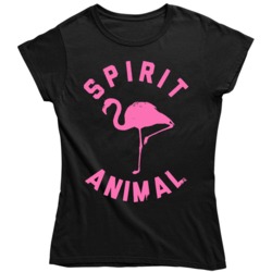 Spirit Animal Flamingo Yoga Pose Ladies T Shirt