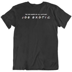 The One Where We All Watched Joe Exotic Netflix Indoors Stay Safe Frie
